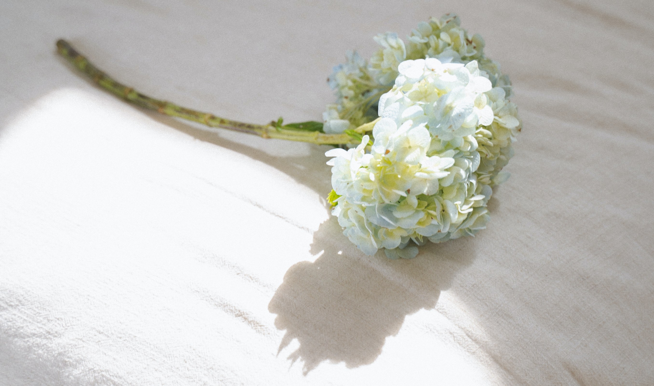 我该怎样去治愈你（诗三首）